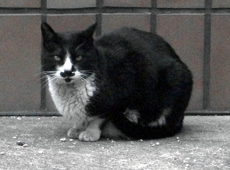 DSCF6537.JPG