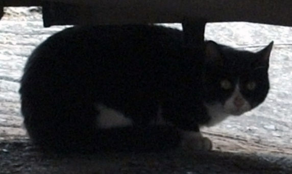 DSCF5428.JPG