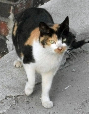 DSCF5435.JPG