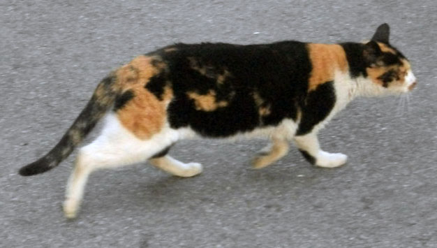DSCF5434.JPG