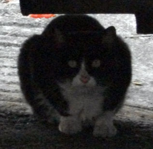 DSCF5430.JPG