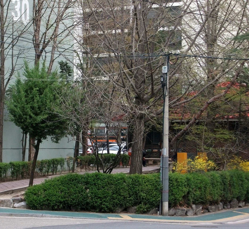 DSCF0035.JPG