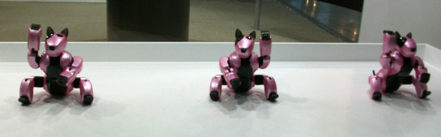 DSCF4081.JPG