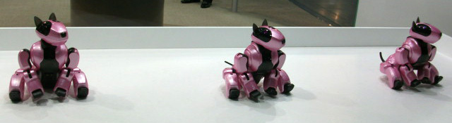 DSCF4079.JPG