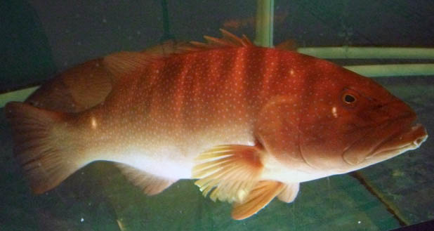 DSCF9258.JPG