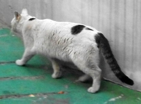 DSCF5444.JPG