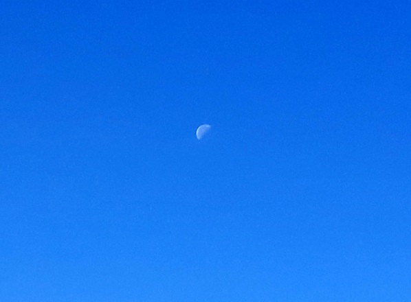 20181031_105927.jpg
