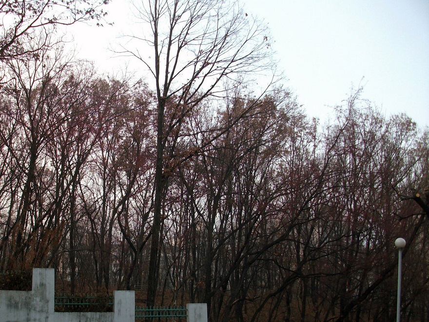 DSCF5454.JPG