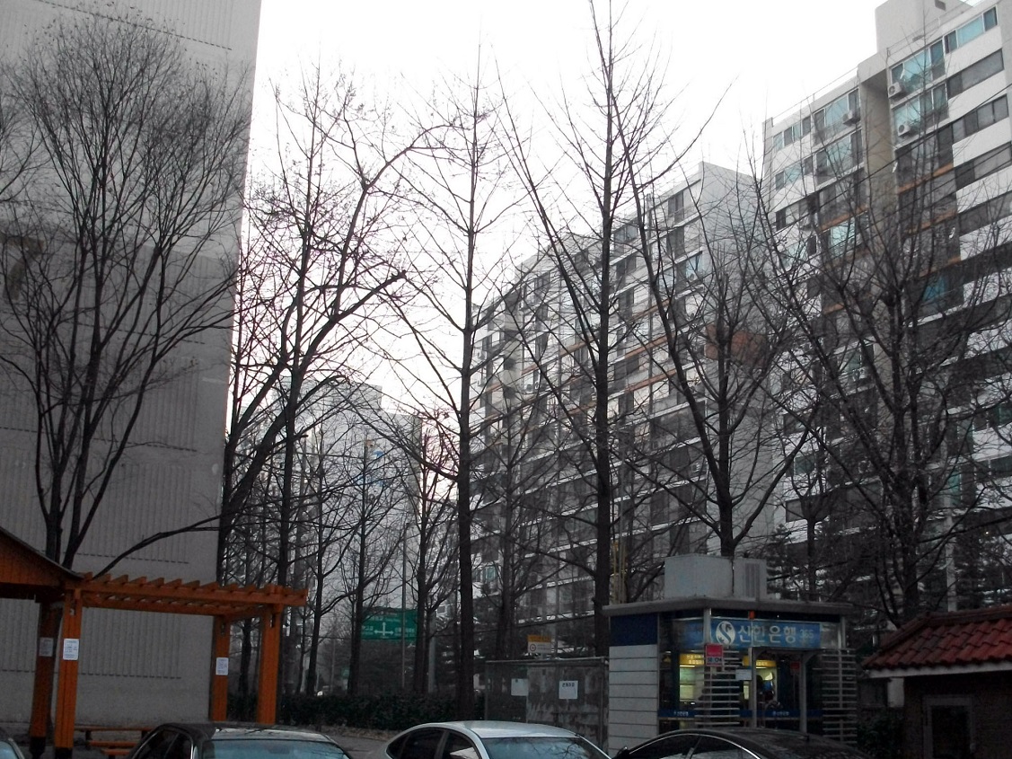 DSCF5462.JPG