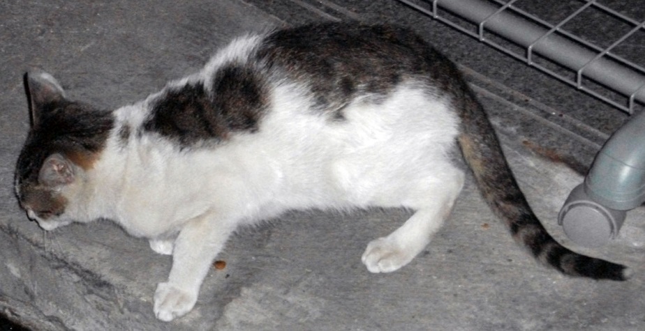 DSCF3594.JPG