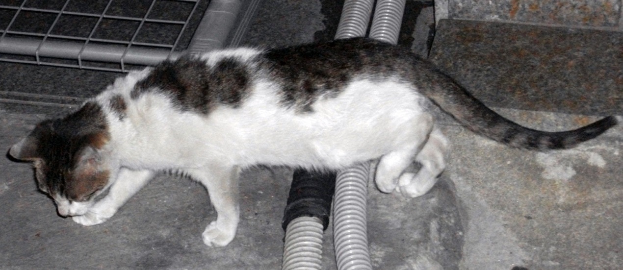 DSCF3595.JPG