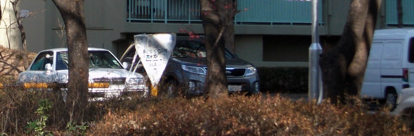 DSCF5737.JPG