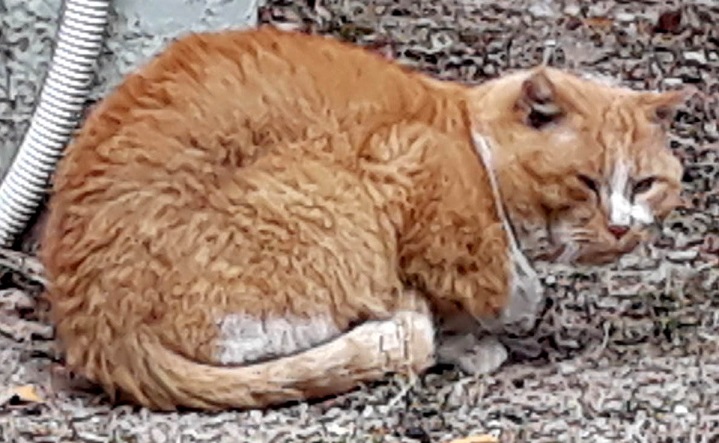 20190104_120652.jpg