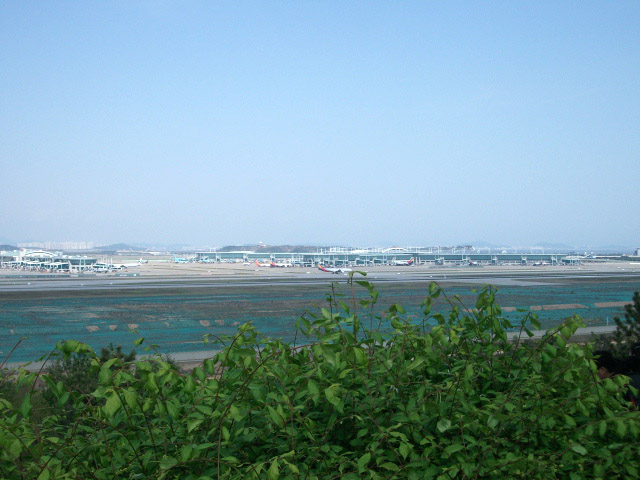 DSCF1783.JPG
