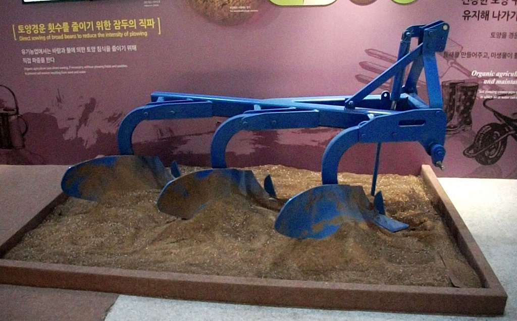 DSCF0458.JPG