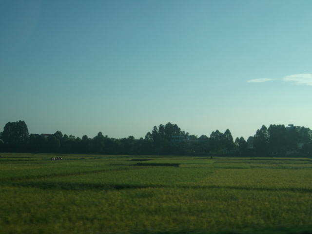 DSCF9059.JPG