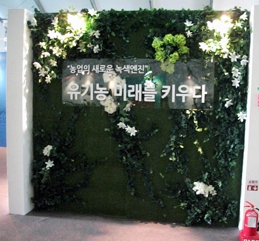 DSCF0486.JPG