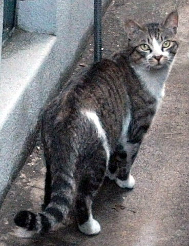 DSCF3287.JPG