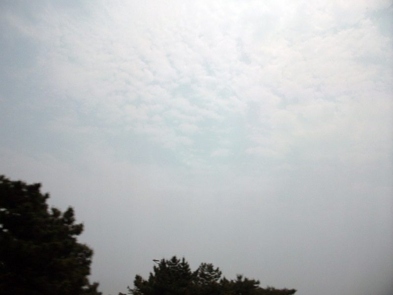 DSCF4617.JPG