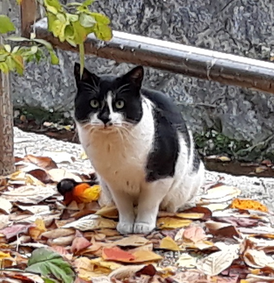 20181106_120708.jpg
