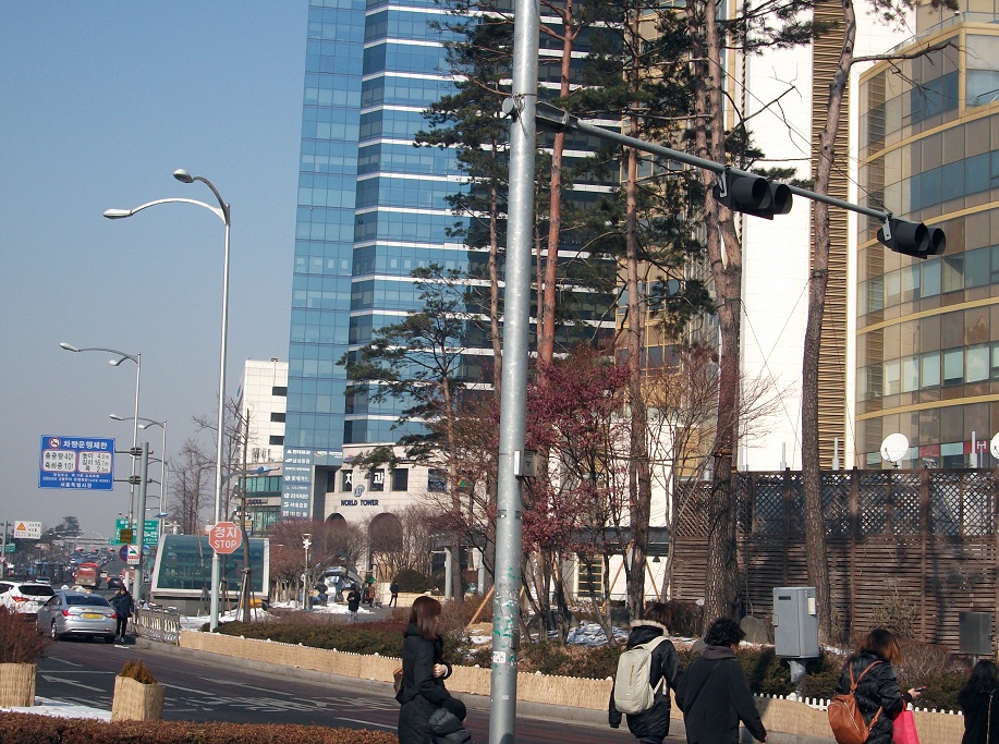 DSCF1007.JPG