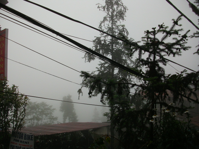 DSCF9168.JPG