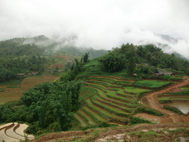 DSCF9175.JPG