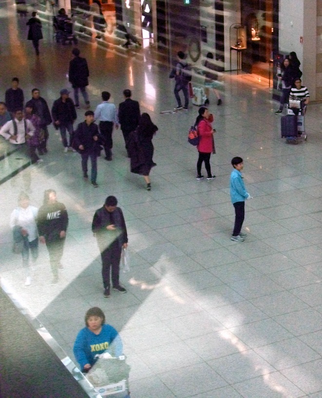 DSCF2195.JPG