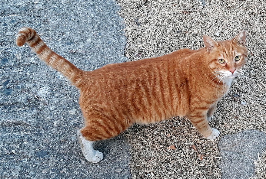 20190104_165837.jpg
