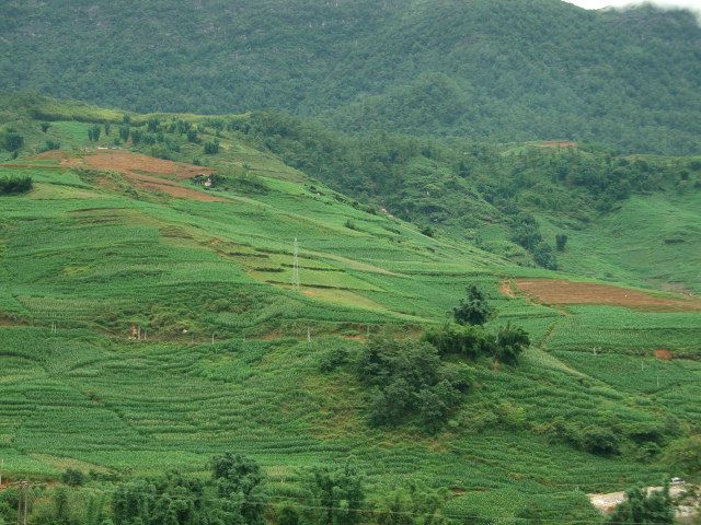DSCF9229.JPG