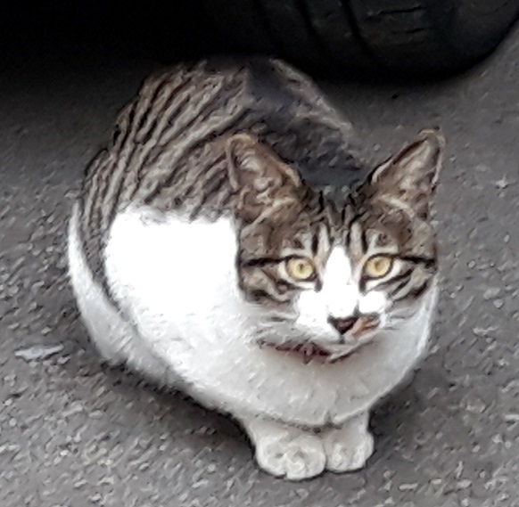 20190210_163228.jpg