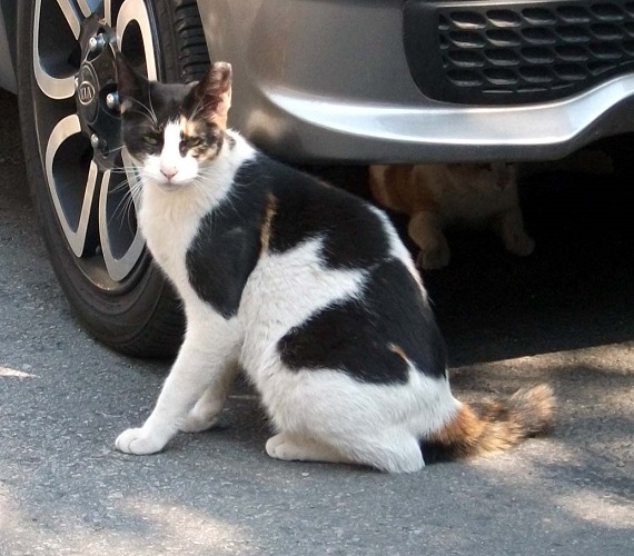 DSCF5150.JPG