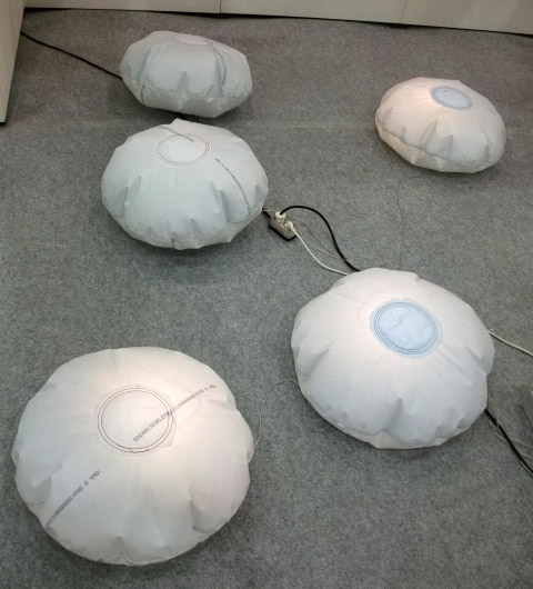 DSCF2312.JPG