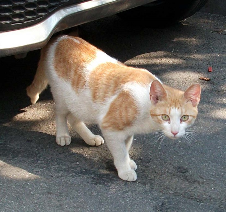 DSCF5151.JPG