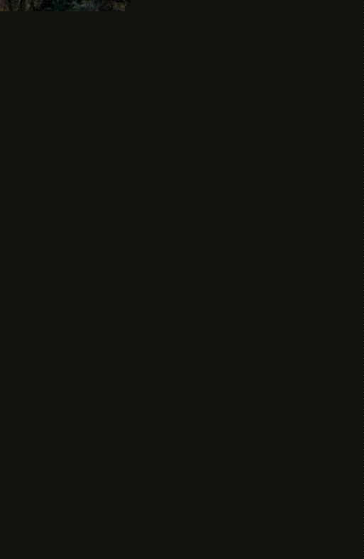 DSCF1412.JPG