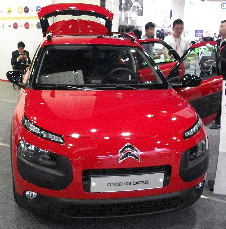 DSCF5305.JPG