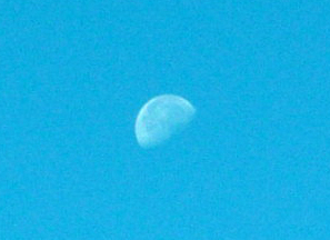 DSCF1496.JPG