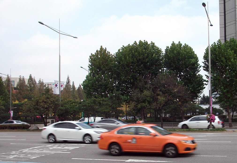 DSCF2358.JPG
