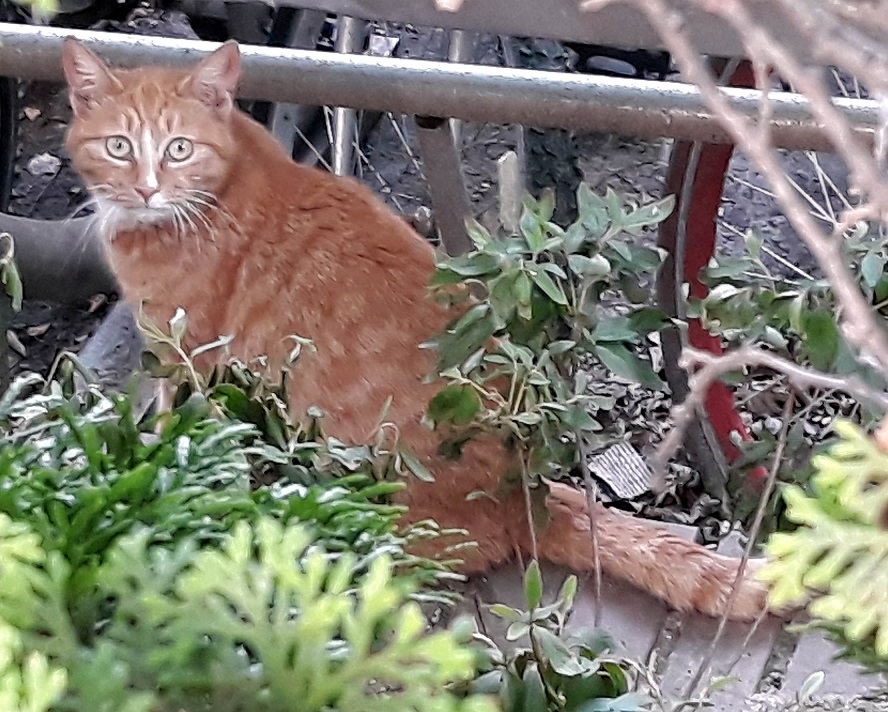 20180605_185158.jpg