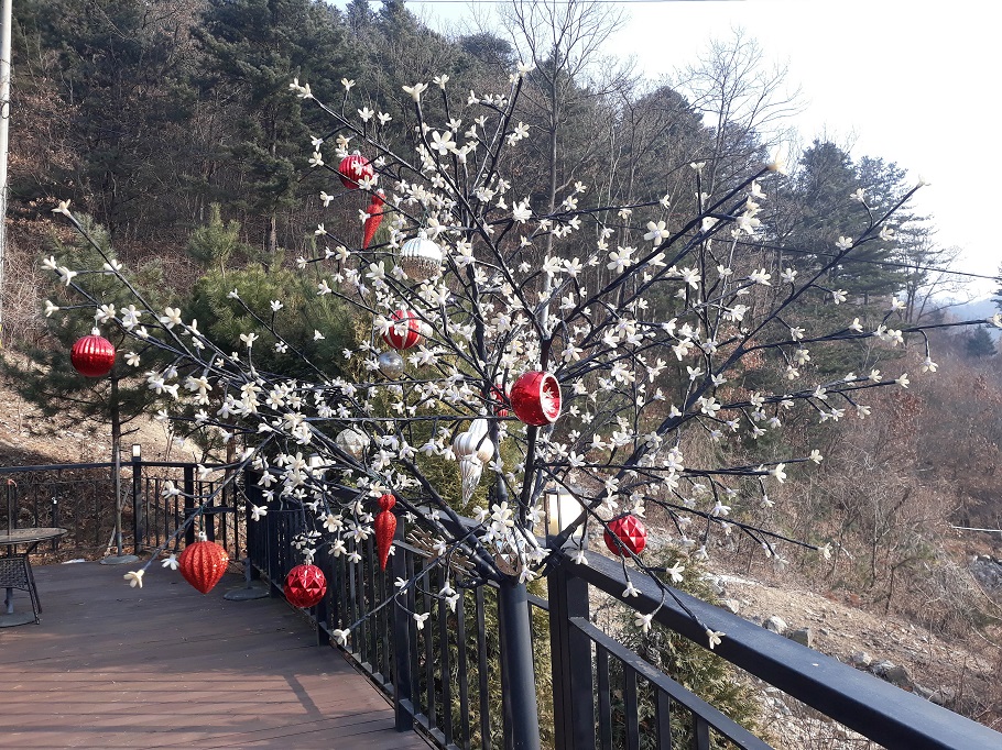 20201226_144253.jpg