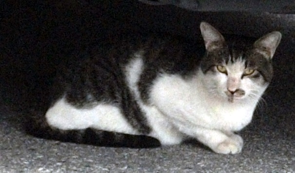 DSCF3485.JPG