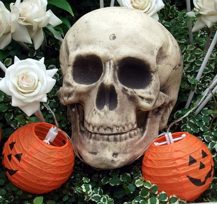 DSCF1729.JPG
