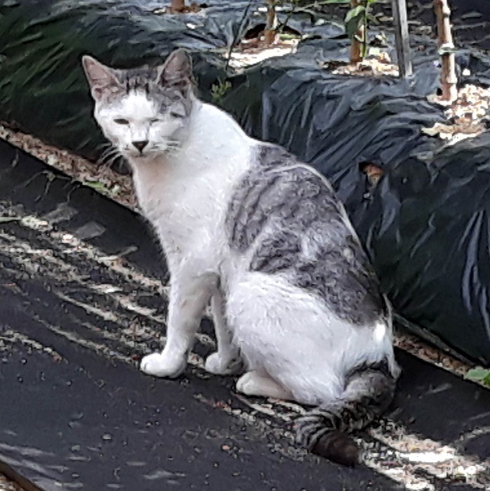 20180913_132657.jpg