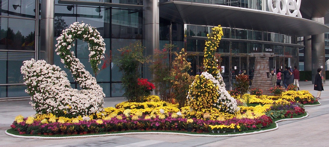 DSCF2345.JPG