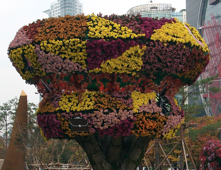 DSCF2342.JPG