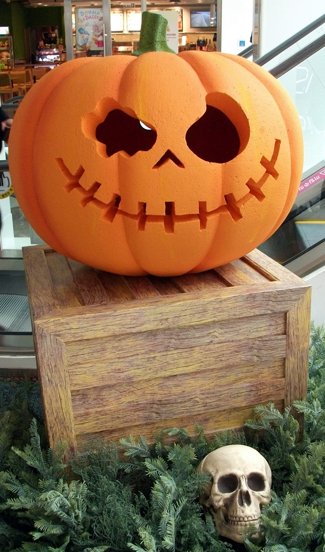 DSCF1731.JPG