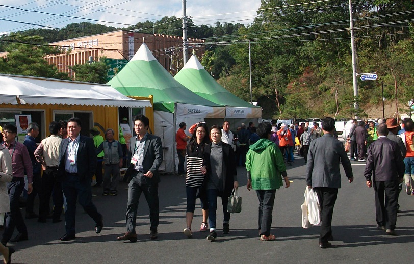 DSCF0494.JPG