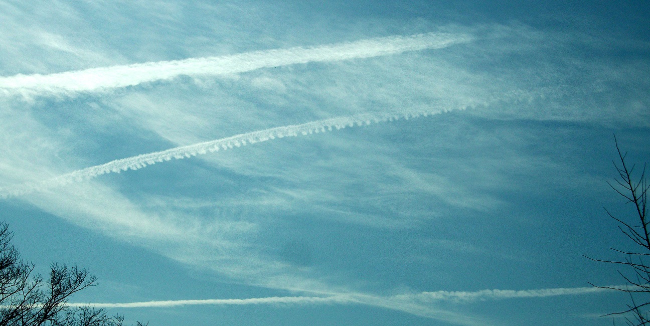 DSCF5237.JPG