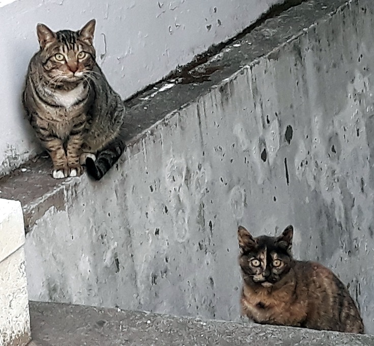 20190113hjkio (14).jpg