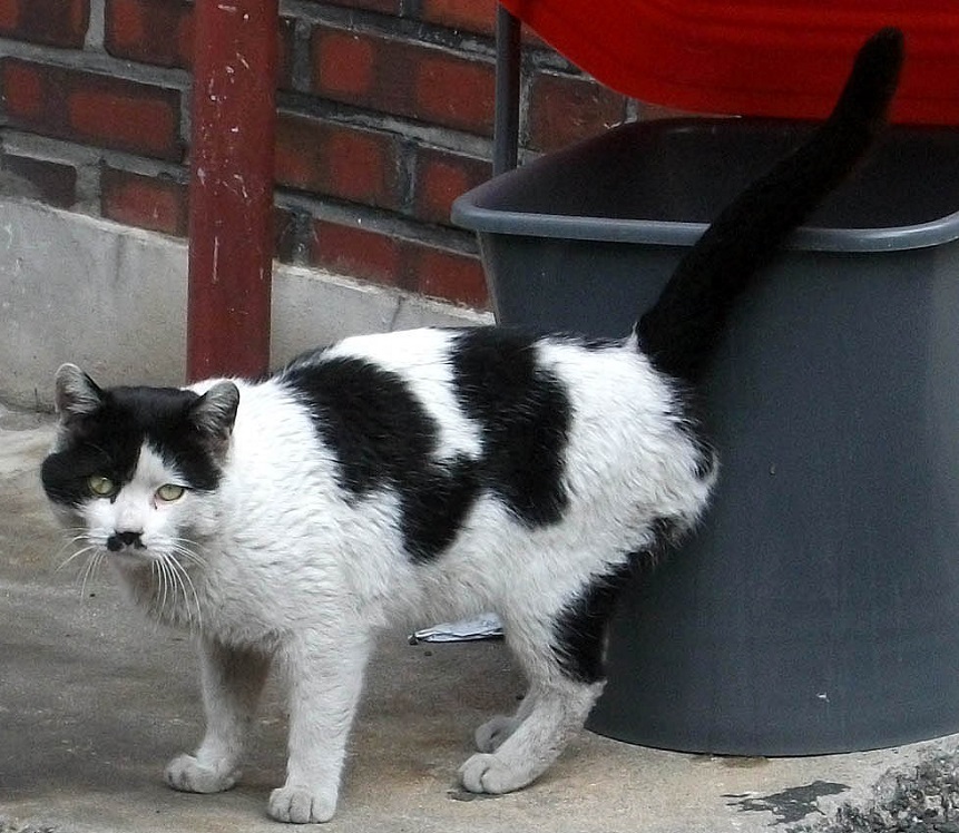 DSCF6639.JPG